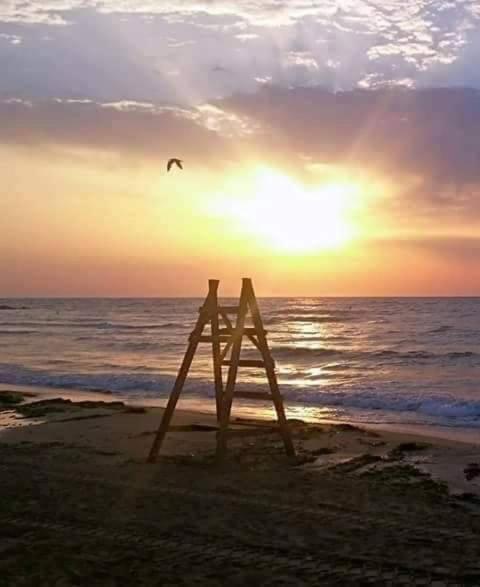 Ideal Para Verano Con Piscina E Invierno Con Cocina De Lena La Mata  Dış mekan fotoğraf